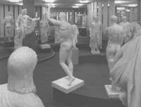 4. ausstellungsraum der archäologischen sammlung im erdgeschoss der alten universitätsbibliothek